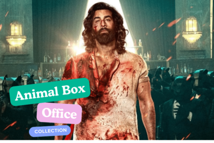 Animal Box Office Collection